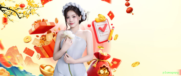 Verificação KYC plumagepg